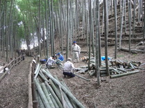 081012小机竹灯籠製作