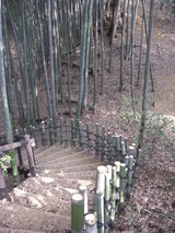 080223管理コース四つ目垣と竹林