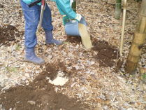 091213�ߤλ���