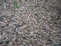 080806ʴ���ݥ��å�