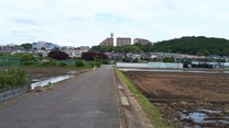200525 荏田 田圃水張り