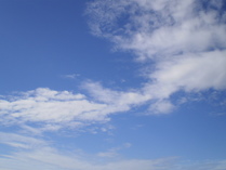 090807�ơ��Ķ�