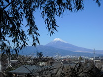 CIMG2011