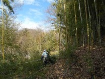 �̾� 160213���ɤ�ι�1