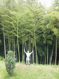 120620先止めモウソウチク