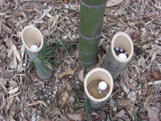 080404���ɤ�ι� ����⤯��������