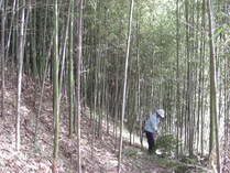 081123�Ӿ����ۤ������ޤ�