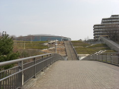 080312ͷ��ƻ�������оΤ��糬�ʡ����͹�ݥס���