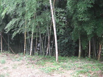 080919白ペンキ表示