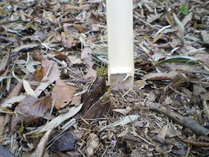 090414�⥦����������������