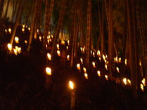 P9260091ͩ����