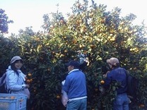 ���ԡ� �� P1000014