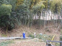 縮小150208国際 間伐