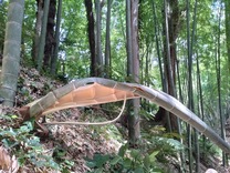 裂けて倒れ バネ状態