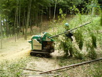 P9190025���åѡ�������