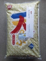 �в��׸���� - ���ԡ�