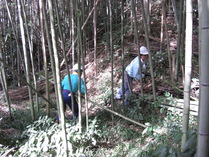 081123��Ȳ���