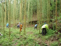 �߱�����������