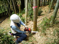 P9190023�����󥽡�