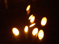 P9230060ͩ����