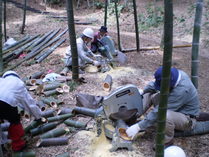 P9190020����������