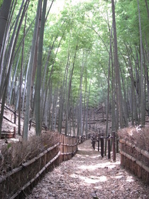 ������Ԯ������