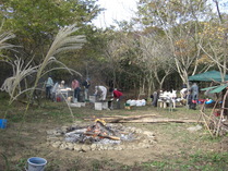 081123�££������Ź�����