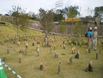 090923���������־�������