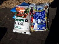 国際P 落葉掻きと寒肥