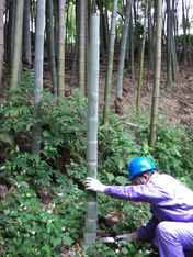 080605�ס��롡�ݿ���