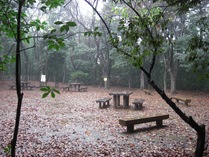081116二の丸広場