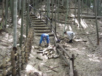 080601�����Ƥν������