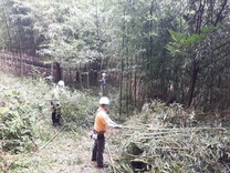 国際台風被害処理 (1)