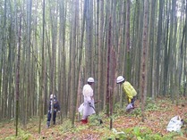 120617�����Τ����ꡪ