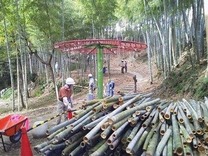 120915�����ƺ��Ȳ