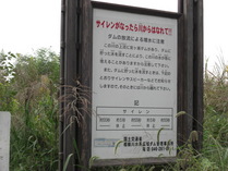 081010������ή������