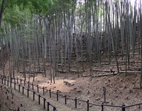 �̾� ���֤�����