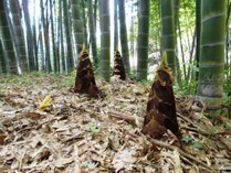 �̾�160415�����Υ�