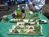 120320����Į (2)