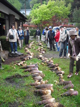 100424��Ʀ�ι�䣼���