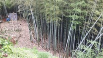 200524 折本jpg (3)