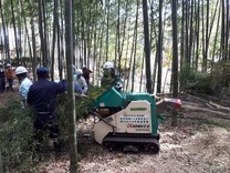 �̾� 180304�����ƺǽ��ȴ�Ȳ�ݎ����ʎߎ�