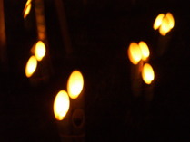 P9230073ͩ����