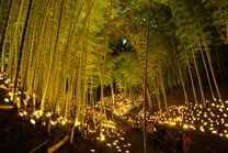 1108겾�ؼ�Ꭿ��Ꮎ�Ꭴ�⳽HJ20251108-0143