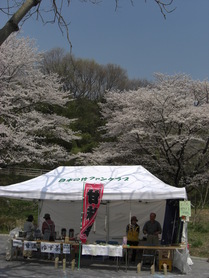 080403���ɤ�ι����ܤ��ݥե��󥯥�֥ƥ��