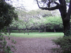 0804二の丸広場