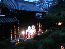 121016�֤��� (1)