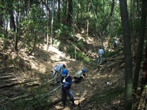 120506��������Ȳ�� (2)