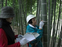 081109�������������Ĵ����