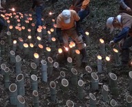 �̾� ��У�